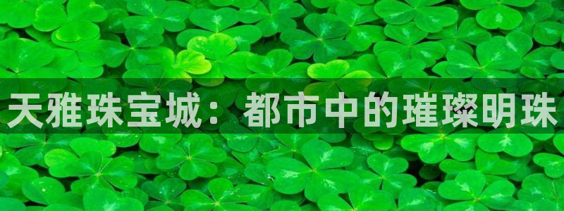 新宝5得74OOO5：天雅珠宝城：都市中的璀璨明珠