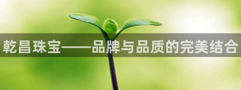 新宝5策略：乾昌珠宝——品牌与品质的完美结合