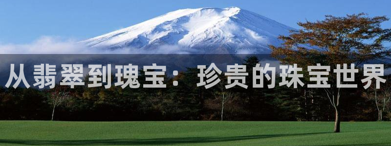 新宝6霸哥5：从翡翠到瑰宝：珍贵的珠宝世界