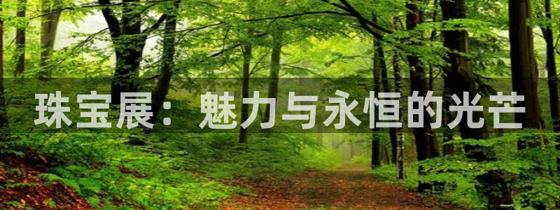 新宝5下载软件：珠宝展：魅力与永恒的光芒