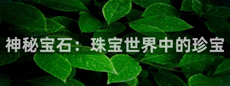 新宝5吕74OOO5：神秘宝石：珠宝世界中的珍宝