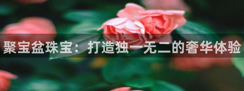 新宝堂新会陈皮5年：聚宝盆珠宝：打造独一无二的奢华体验