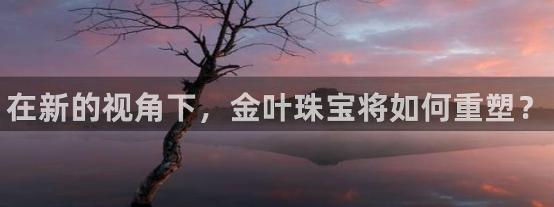 新宝5官网平台：在新的视角下，金叶珠宝将如何重塑？