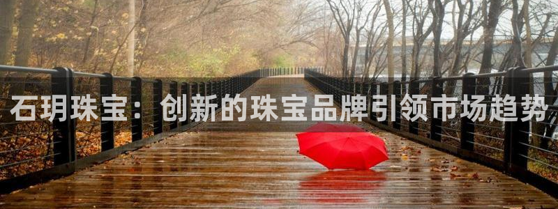 新宝xb5：石玥珠宝：创新的珠宝品牌引领市场趋势