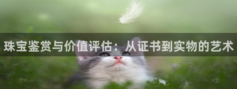 新宝5X：珠宝鉴赏与价值评估：从证书到实物的艺术