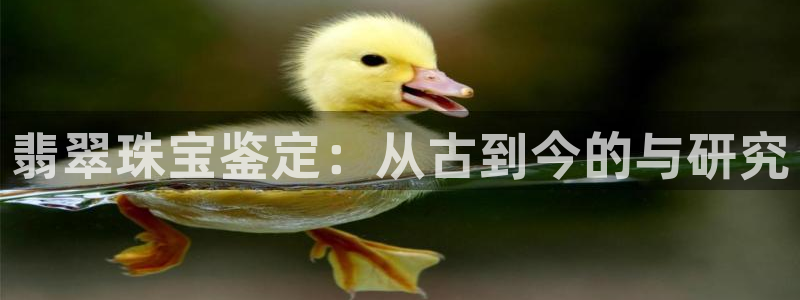 新宝5新宝6顺达：翡翠珠宝鉴定：从古到今的与研究