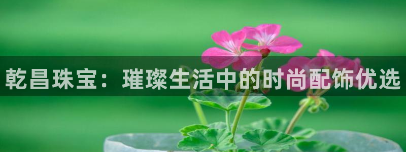 新宝5授权：乾昌珠宝：璀璨生活中的时尚配饰优选