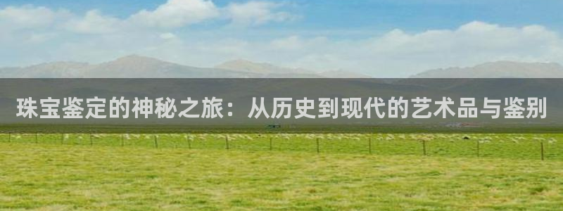 新宝5娱乐然：珠宝鉴定的神秘之旅：从历史到现代的艺术品与鉴别