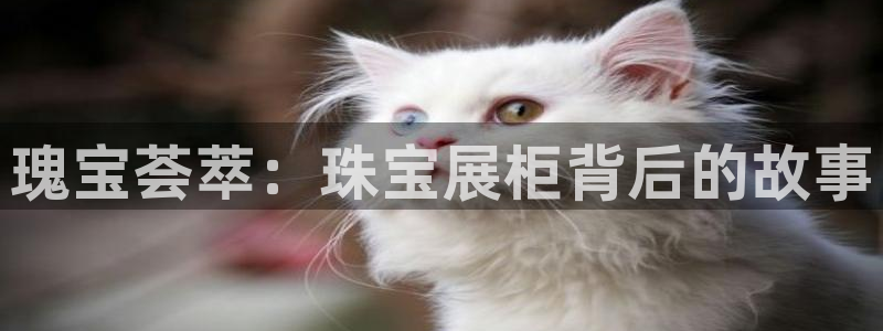 新宝5公司：瑰宝荟萃：珠宝展柜背后的故事