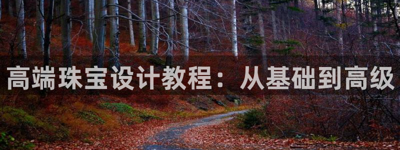 新宝5娱乐平台：高端珠宝设计教程：从基础到高级
