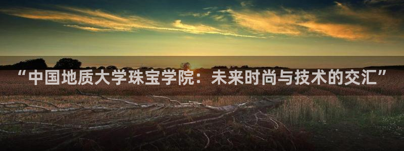 新宝5-测速：“中国地质大学珠宝学院：未来时尚与技术的交汇”