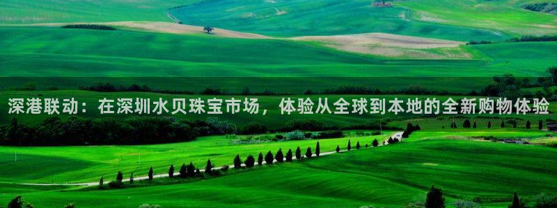 新宝5测速登录：深港联动：在深圳水贝珠宝市场，体验从全球到本地的全新购物体验