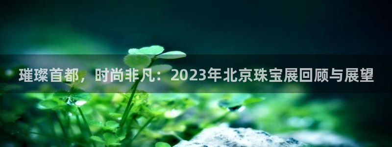 新宝注5册：璀璨首都，时尚非凡：2023年北京珠宝展回顾与展望