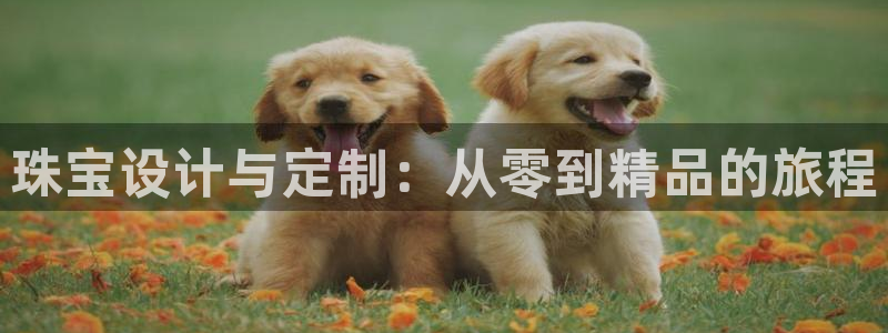 新宝5如何注册：珠宝设计与定制：从零到精品的旅程