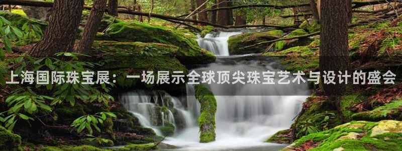 新宝股东张听2 5 5：上海国际珠宝展：一场展示全球顶尖珠宝艺术与设计的盛会