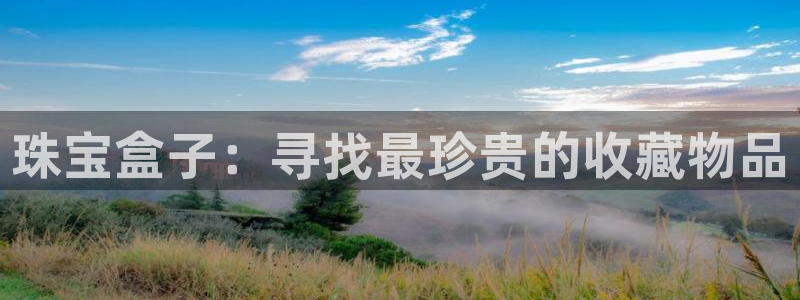 新宝5登录不了：珠宝盒子：寻找最珍贵的收藏物品