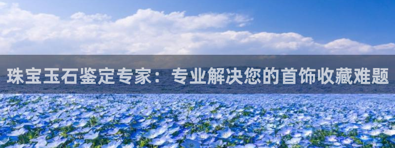新宝5-：珠宝玉石鉴定专家：专业解决您的首饰收藏难题