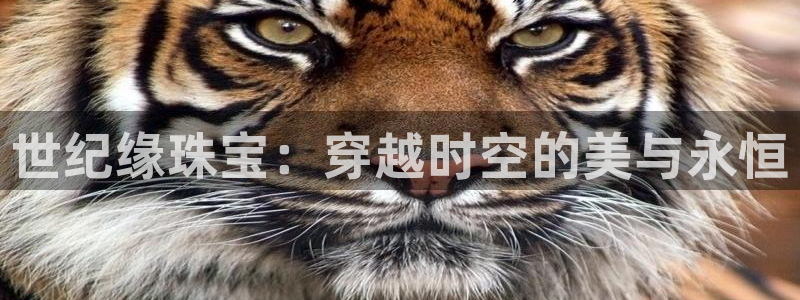 新宝5注册账号：世纪缘珠宝：穿越时空的美与永恒