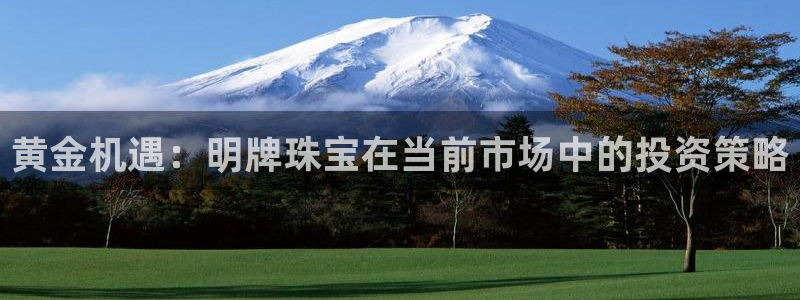 新宝股东张听2 5 5：黄金机遇：明牌珠宝在当前市场中的投资策略