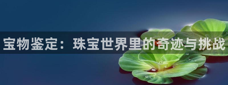 新宝5王问74OOO5：宝物鉴定：珠宝世界里的奇迹与挑战