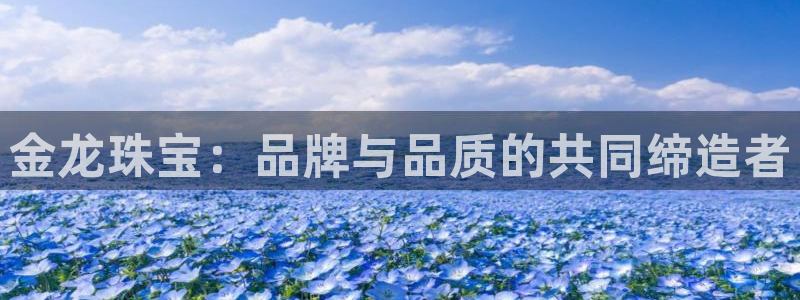 新宝5找找74OOO5：金龙珠宝：品牌与品质的共同缔造者