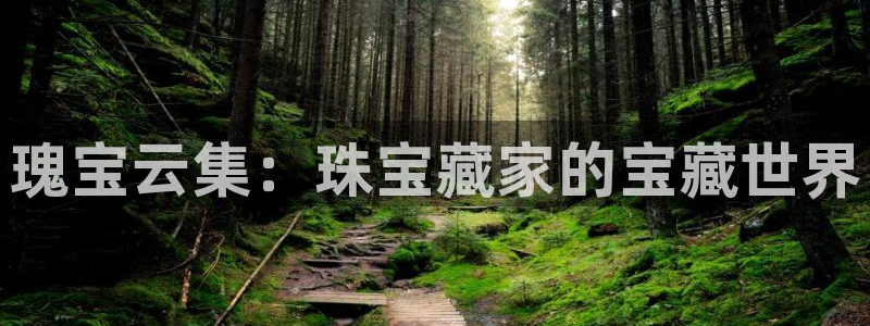 新宝5台卡：瑰宝云集：珠宝藏家的宝藏世界