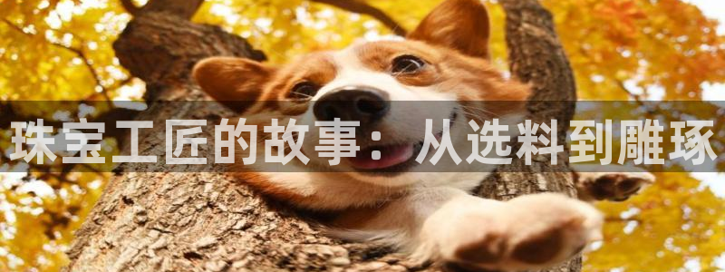 新宝m2O5O5O：珠宝工匠的故事：从选料到雕琢