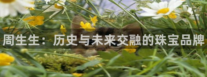 新宝5平台霸：周生生：历史与未来交融的珠宝品牌