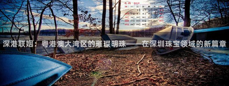 新宝5注册链接：深港联姻：粤港澳大湾区的璀璨明珠——在深圳珠宝领域的新篇章
