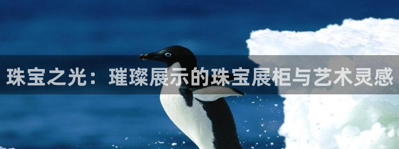 新宝5app：珠宝之光：璀璨展示的珠宝展柜与艺术灵感