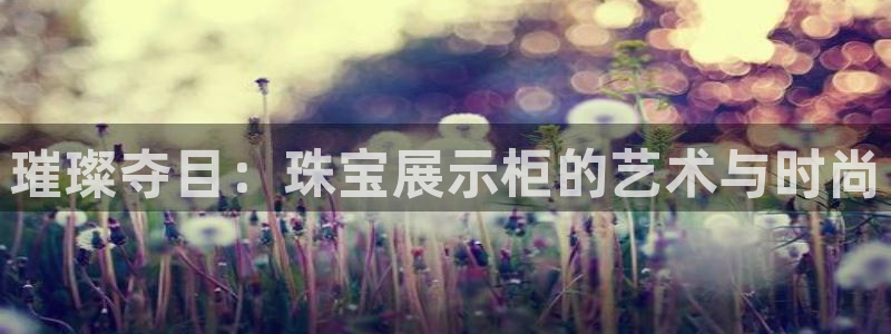 新宝5招商部：璀璨夺目：珠宝展示柜的艺术与时尚