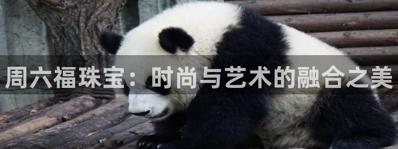 新宝5如何下载：周六福珠宝：时尚与艺术的融合之美