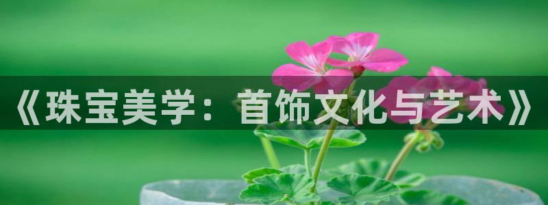 新宝5-测速：《珠宝美学：首饰文化与艺术》