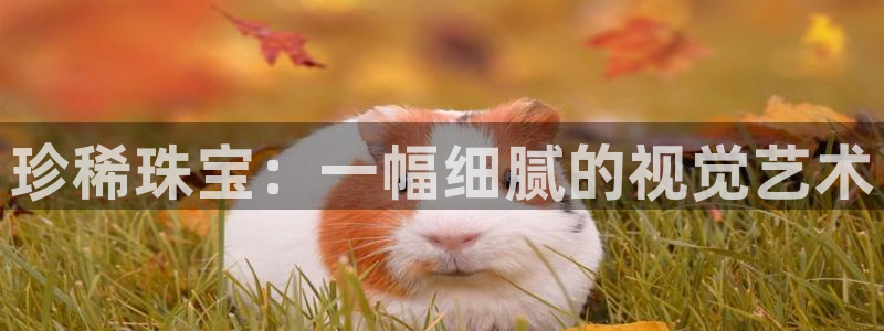 皇冠新宝5：珍稀珠宝：一幅细腻的视觉艺术