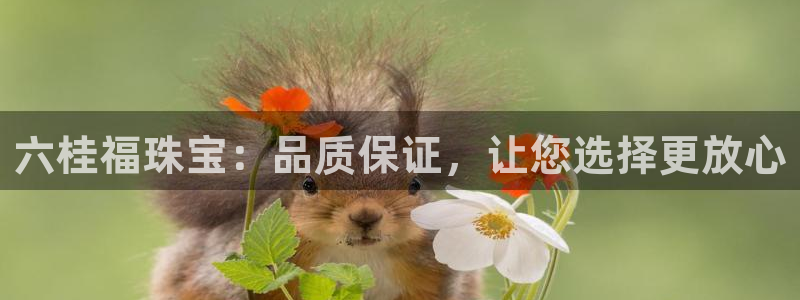 新宝rm5：六桂福珠宝：品质保证，让您选择更放心