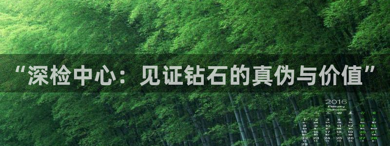 新宝5台卡：“深检中心：见证钻石的真伪与价值”