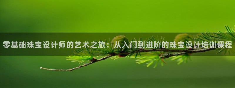 菲律宾新宝5老板：零基础珠宝设计师的艺术之旅：从入门到进阶的珠宝设计培训课程