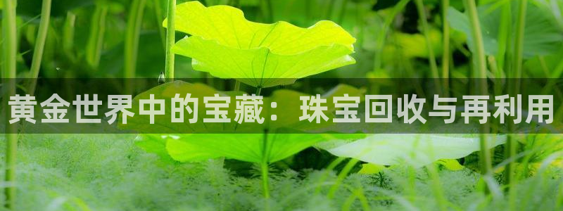 新宝5平台登录注册：黄金世界中的宝藏：珠宝回收与再利用