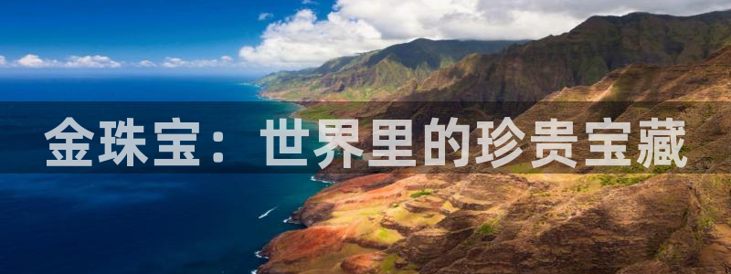 新宝rc_5w：金珠宝：世界里的珍贵宝藏