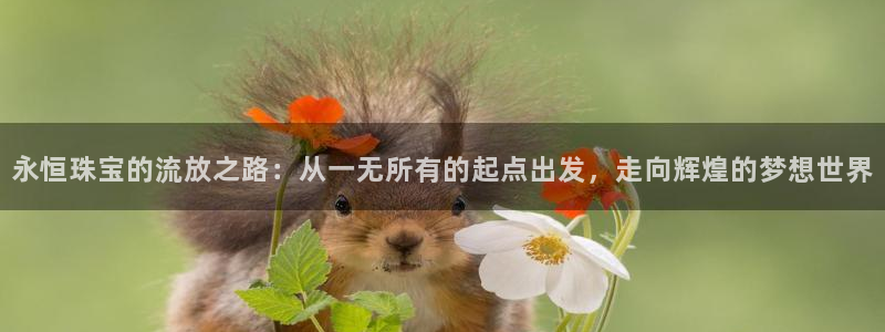 有人知道新宝5么：永恒珠宝的流放之路：从一无所有的起点出发，走向辉煌的梦想世界