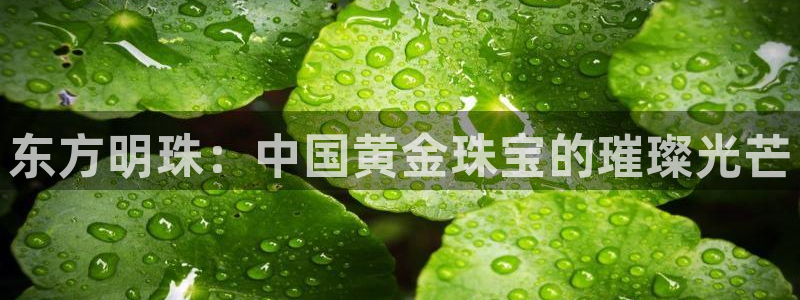 新宝5平台登录注册：东方明珠：中国黄金珠宝的璀璨光芒