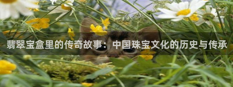 新宝_5：翡翠宝盒里的传奇故事：中国珠宝文化的历史与传承