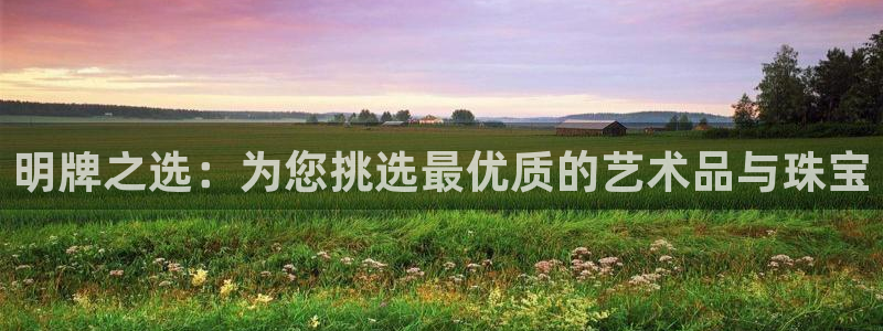 新宝5现在还能玩吗：明牌之选：为您挑选最优质的艺术品与珠宝