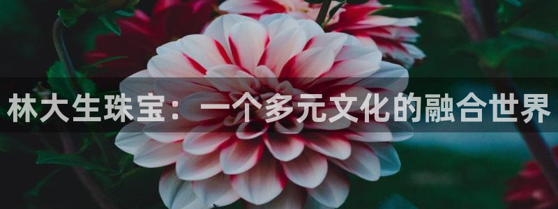 新宝5彩票平台登陆：林大生珠宝：一个多元文化的融合世界