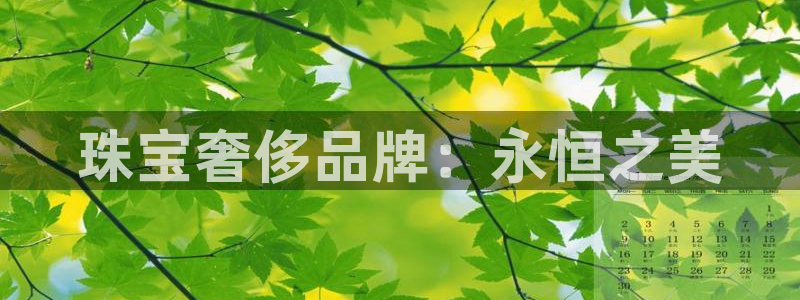 新宝5登陆：珠宝奢侈品牌：永恒之美