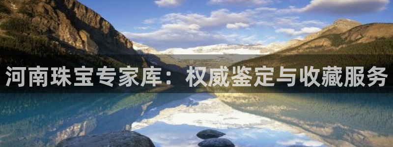 新宝5褚32OO59：河南珠宝专家库：权威鉴定与收藏服务