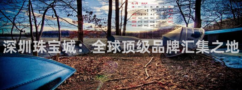 新宝5地址：深圳珠宝城：全球顶级品牌汇集之地