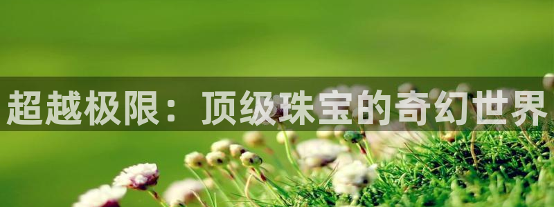 新宝5登陆：超越极限：顶级珠宝的奇幻世界