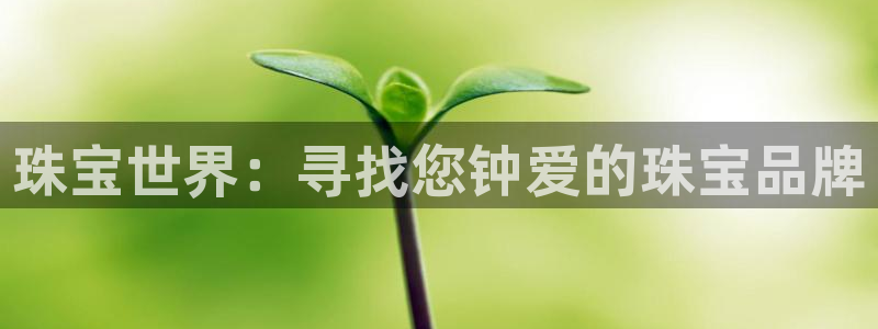 新宝5如何下载：珠宝世界：寻找您钟爱的珠宝品牌