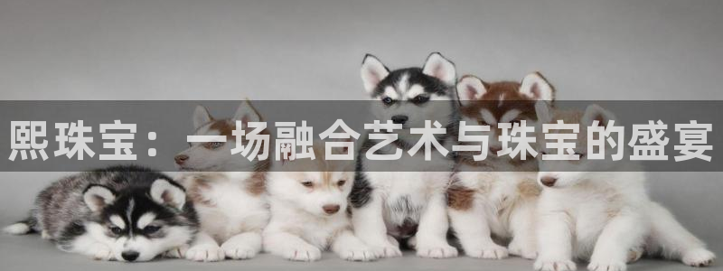 新宝堂新会陈皮5年：熙珠宝：一场融合艺术与珠宝的盛宴